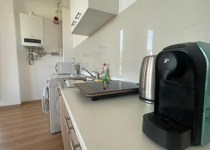 Apartamento New Nr6 Self Checkin Oldcity Center Paid Parking With Lift Timişoara